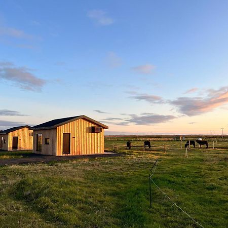 Sleeping With The Horses Appartement Hvolsvöllur Buitenkant foto