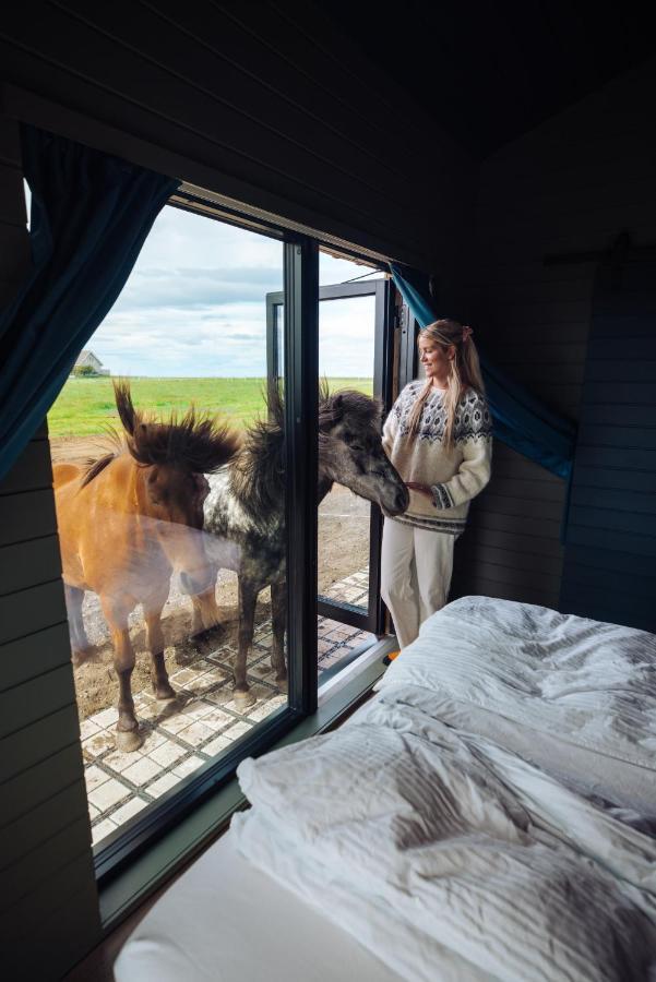 Sleeping With The Horses Appartement Hvolsvöllur Buitenkant foto