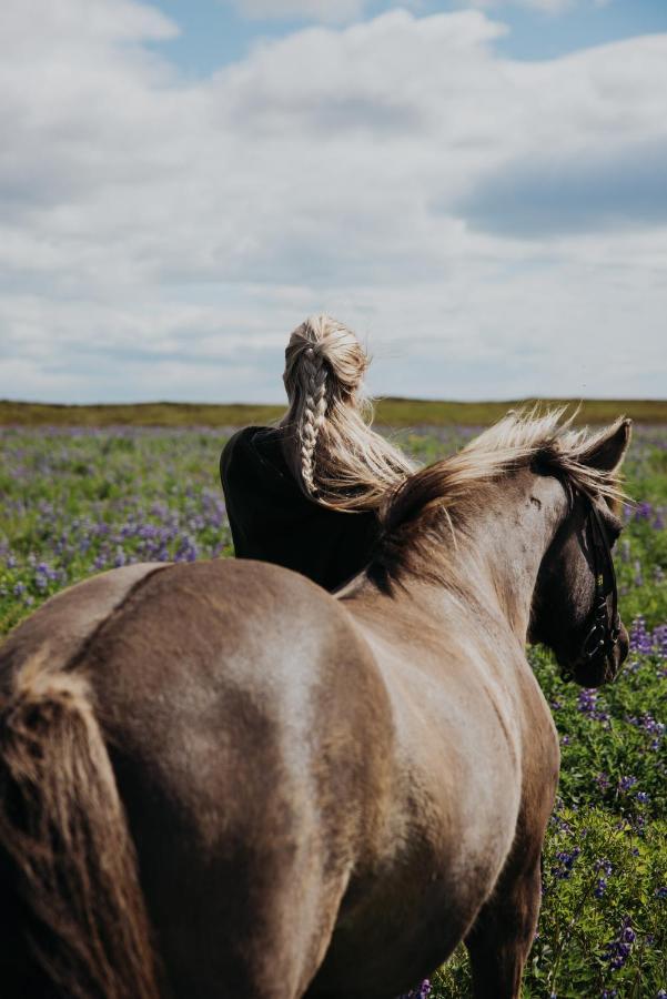 Sleeping With The Horses Appartement Hvolsvöllur Buitenkant foto