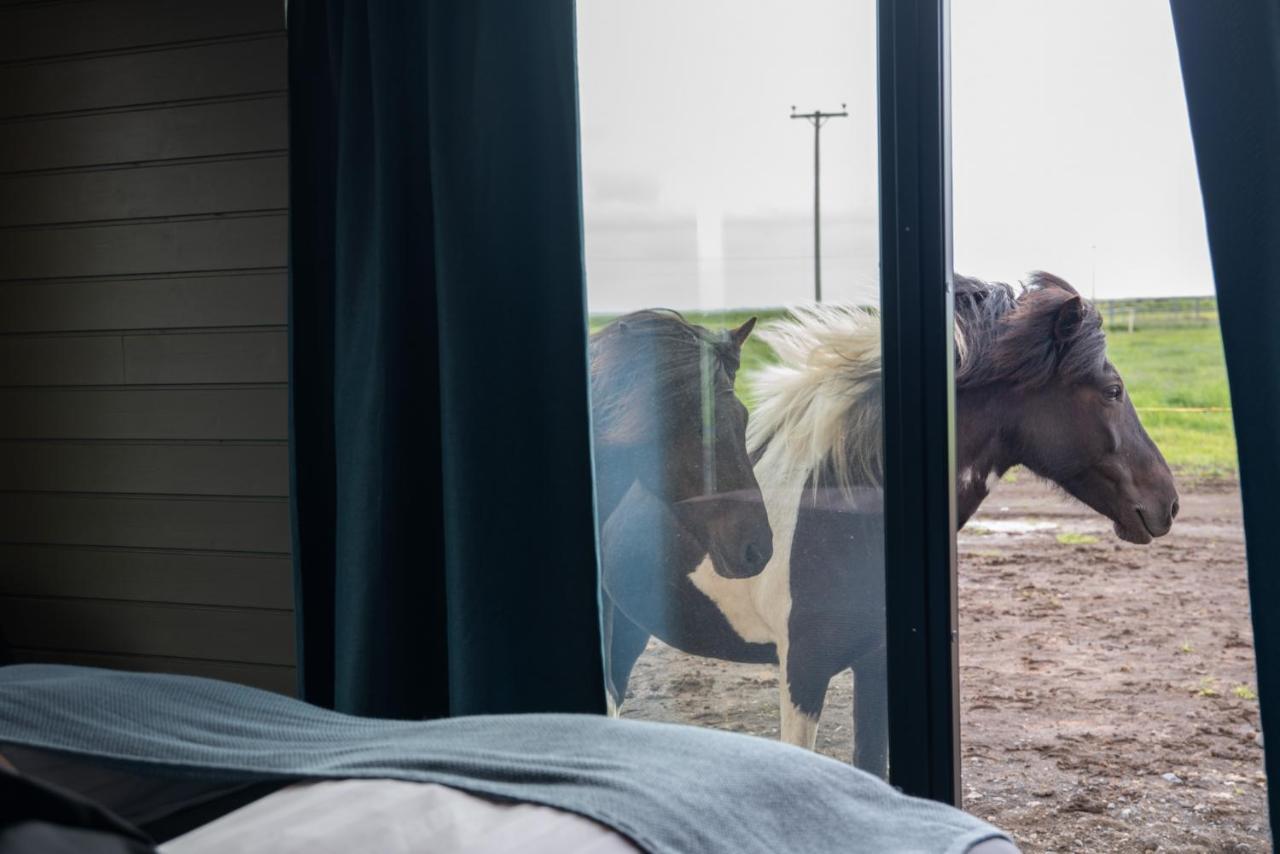 Sleeping With The Horses Appartement Hvolsvöllur Buitenkant foto