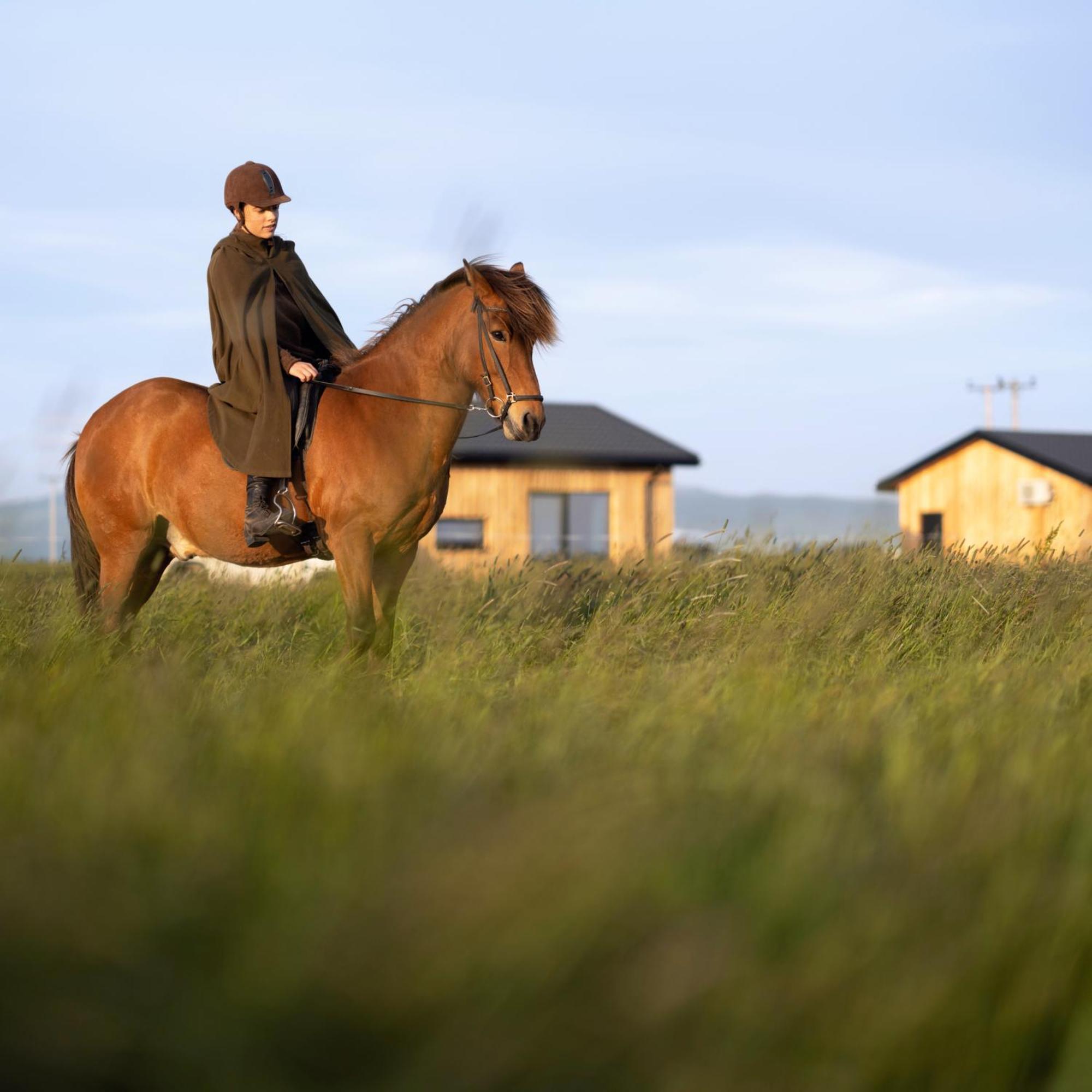 Sleeping With The Horses Appartement Hvolsvöllur Buitenkant foto