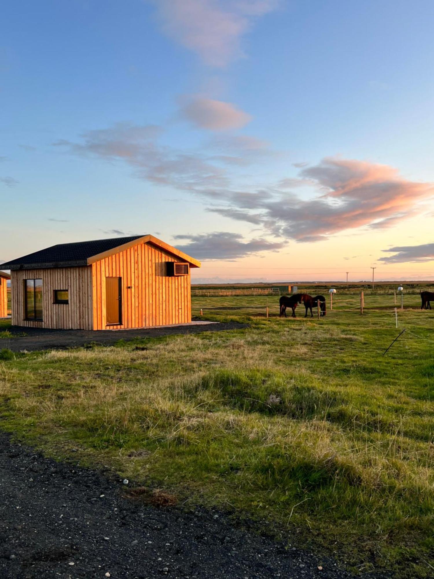 Sleeping With The Horses Appartement Hvolsvöllur Buitenkant foto